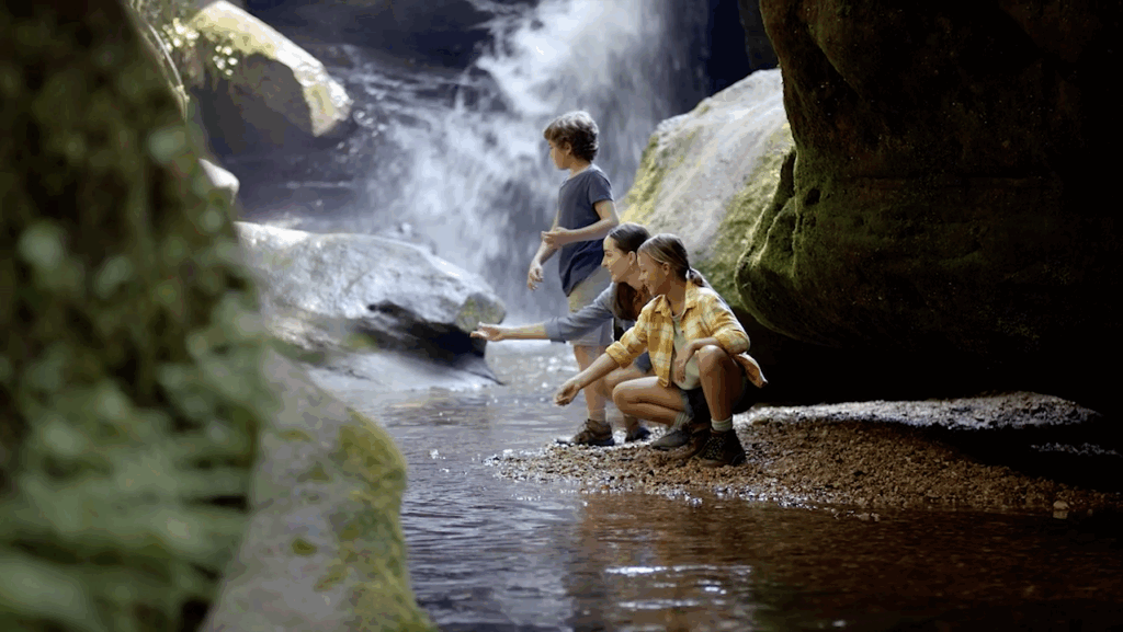 Visit Alabama – Dismals Canyon